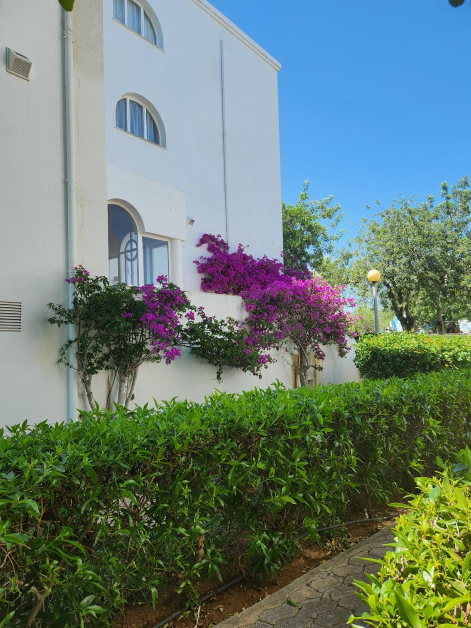Tavira Garden Oasis Lejlighed Eksteriør billede